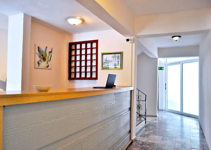 Native Hotel